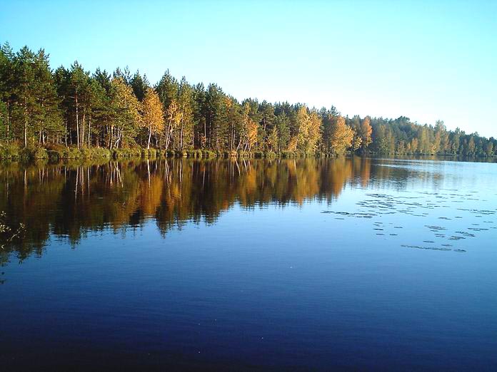 v09.JPG